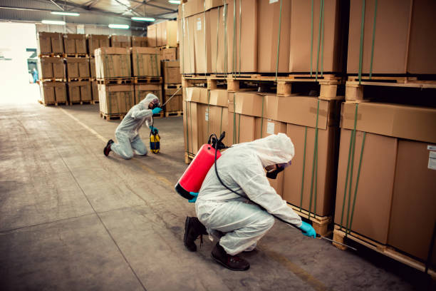 Best Emergency Pest Control  in Bluewell, WV