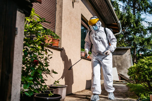 Best Insect Control  in Bluewell, WV