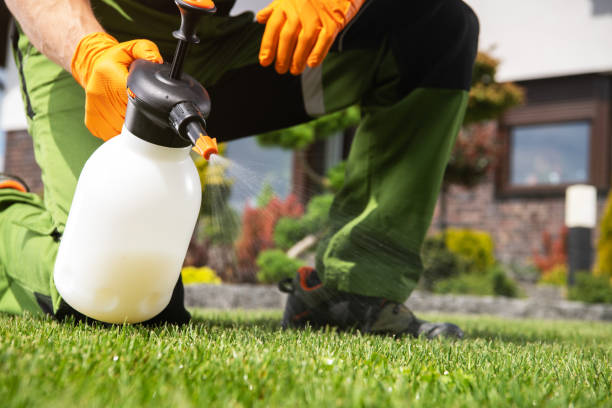 Pest Prevention Services in Bluewell, WV