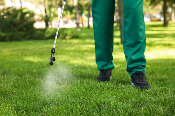 Best Cockroach Control Services  in Bluewell, WV