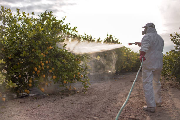 Best Wildlife Control Services  in Bluewell, WV