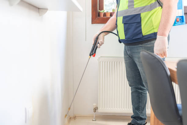 Best Mosquito Control Services  in Bluewell, WV