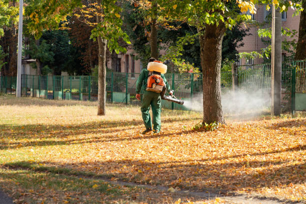Wildlife Control Services in Bluewell, WV