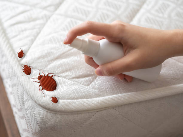 Best Exterminator Services  in Bluewell, WV