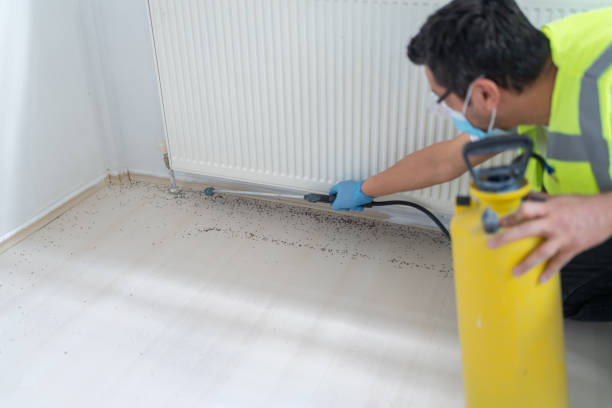 Best Pest Prevention Services  in Bluewell, WV