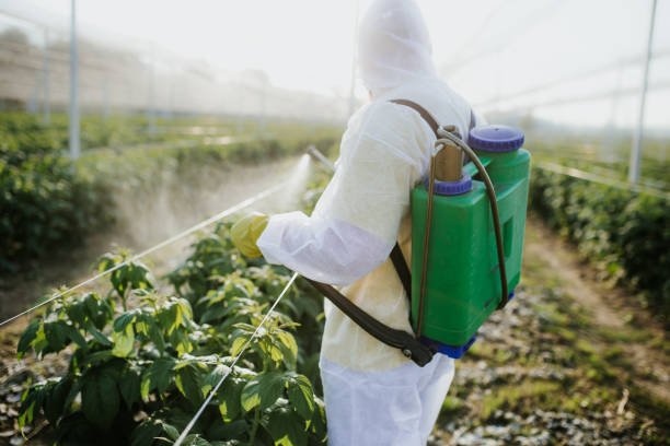 Best Flea Control Services  in Bluewell, WV